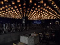 SAM_4472.webp