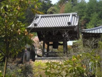 SAM_4490.webp
