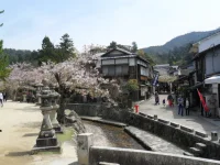 SAM_4493.webp
