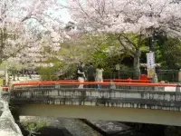 SAM_4494.webp