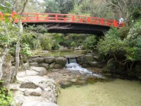 SAM_4504.webp