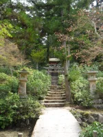 SAM_4508.webp