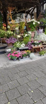 1000013542.webp