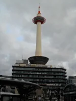 SAM_4198.webp