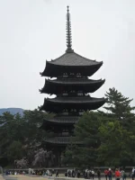 SAM_4527.webp