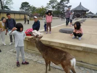 SAM_4530.webp