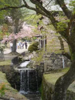 SAM_4542.webp