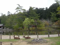 SAM_4543.webp