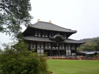 SAM_4547.webp