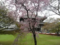 SAM_4550.webp