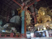 SAM_4562.webp