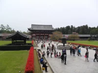 SAM_4564.webp