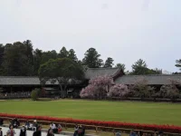 SAM_4565.webp