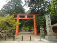 SAM_4569.webp