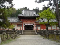 SAM_4573.webp