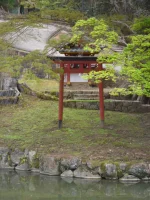 SAM_4577.webp