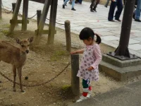 SAM_4599.webp