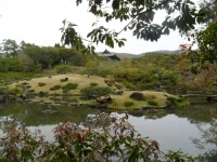SAM_4608.webp