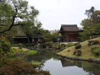 SAM_4615.webp