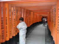 SAM_4639.webp