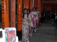 SAM_4661.webp