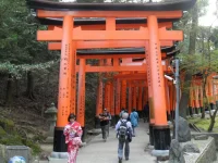 SAM_4662.webp
