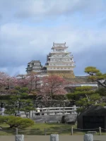 SAM_4666.webp