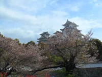 SAM_4674.webp
