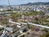 SAM_4690.webp