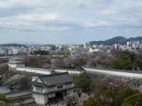 SAM_4699.webp