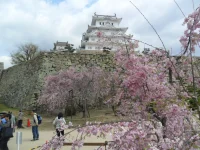 SAM_4704.webp