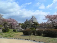 SAM_4718.webp