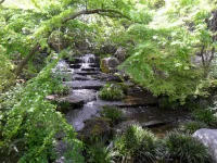 SAM_4731.webp