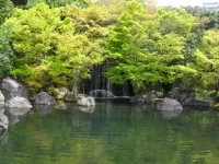 SAM_4734.webp