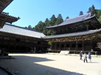 SAM_4772.webp