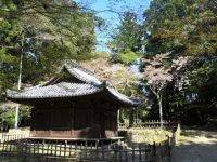 SAM_4787.webp