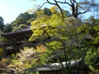 SAM_4791.webp