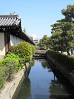 SAM_4812.webp