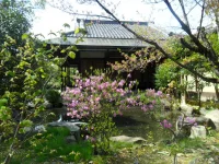 SAM_4818.webp