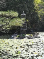 SAM_4834.webp