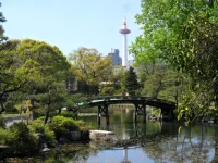 SAM_4840.webp