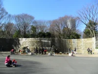 SAM_5298.webp