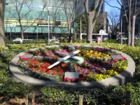 SAM_5301.webp
