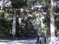 SAM_5302.webp