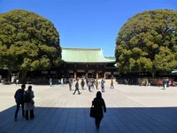 SAM_5308.webp