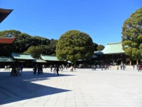 SAM_5310.webp