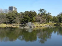 SAM_5376.webp