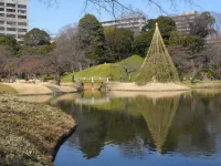SAM_5378.webp