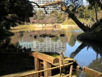 SAM_5380.webp