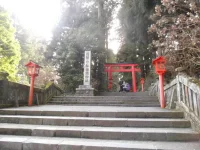 SAM_5451.webp